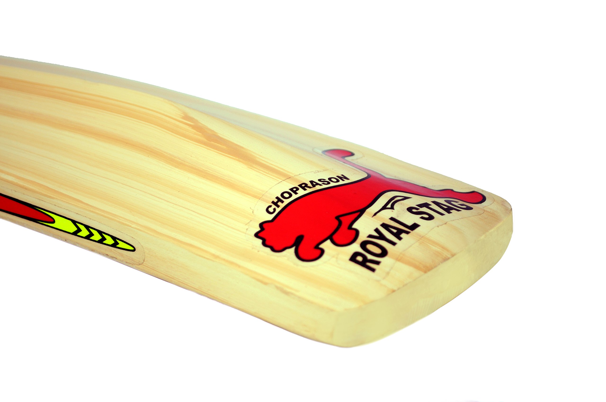 Buy CSM Royal Plus Himachal Willow Cricket Bat, Full Size, Natural